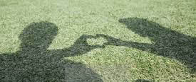 couples therapy
